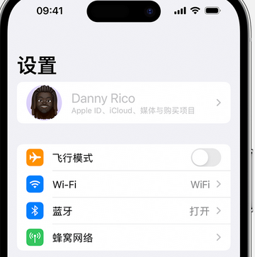 阿瓦提appleID维修服务iPhone设置中Apple ID显示为灰色无法使用