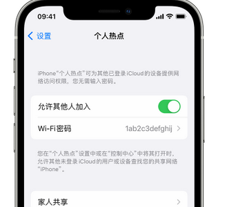 阿瓦提apple服务站点分享iPhone上个人热点丢失了怎么办 