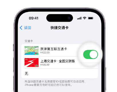 阿瓦提apple维修点分享iPhone上更换Apple Pay快捷交通卡手绘卡面 