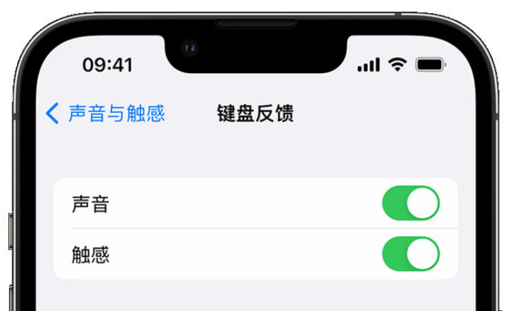 阿瓦提苹果手机维修分享iPhone 14触感键盘使用方法 