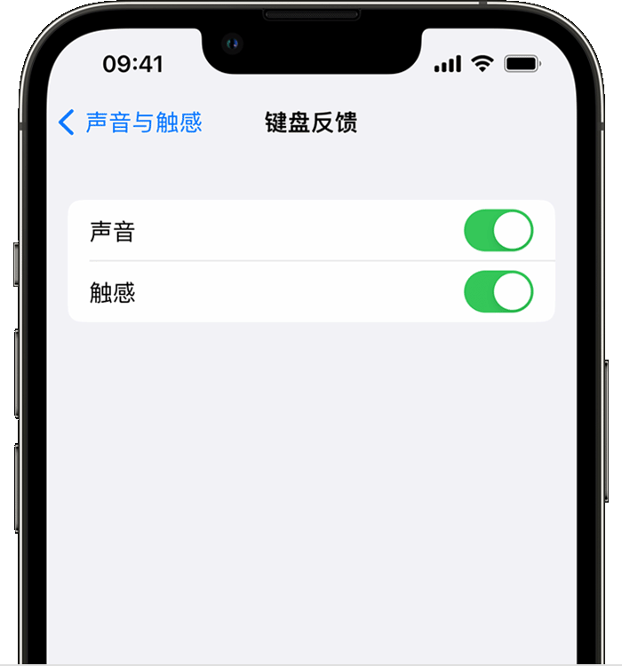 阿瓦提苹果14维修店分享如何在 iPhone 14 机型中使用触感键盘 