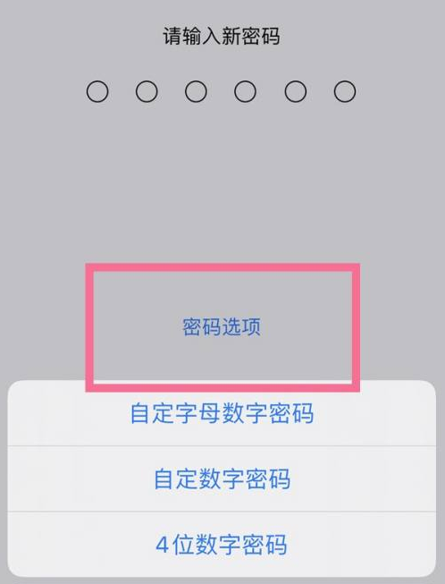 阿瓦提苹果14维修分享iPhone 14plus设置密码的方法 