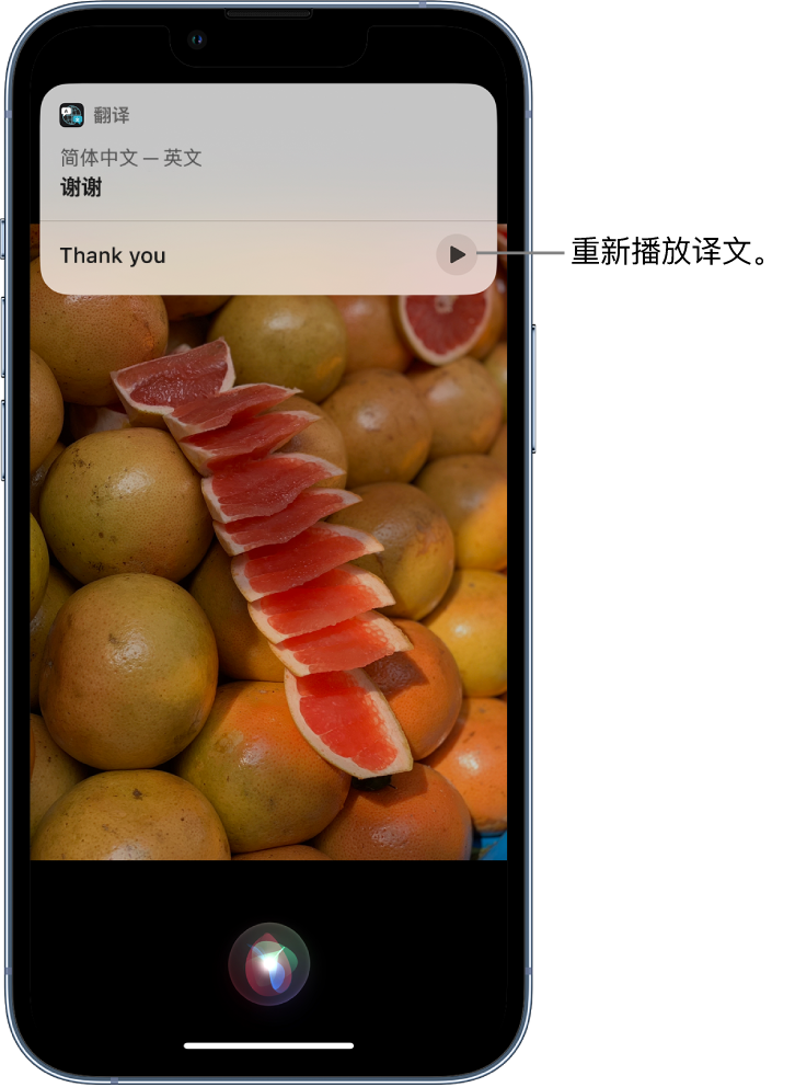 阿瓦提苹果14维修分享 iPhone 14 机型中使用 Siri：了解 Siri 能帮你做什么 