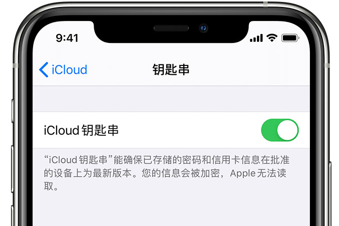 阿瓦提苹果手机维修分享在 iPhone 上开启 iCloud 钥匙串之后会储存哪些信息 