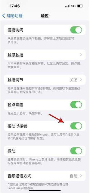 阿瓦提苹果手机维修分享iPhone手机如何设置摇一摇删除文字 